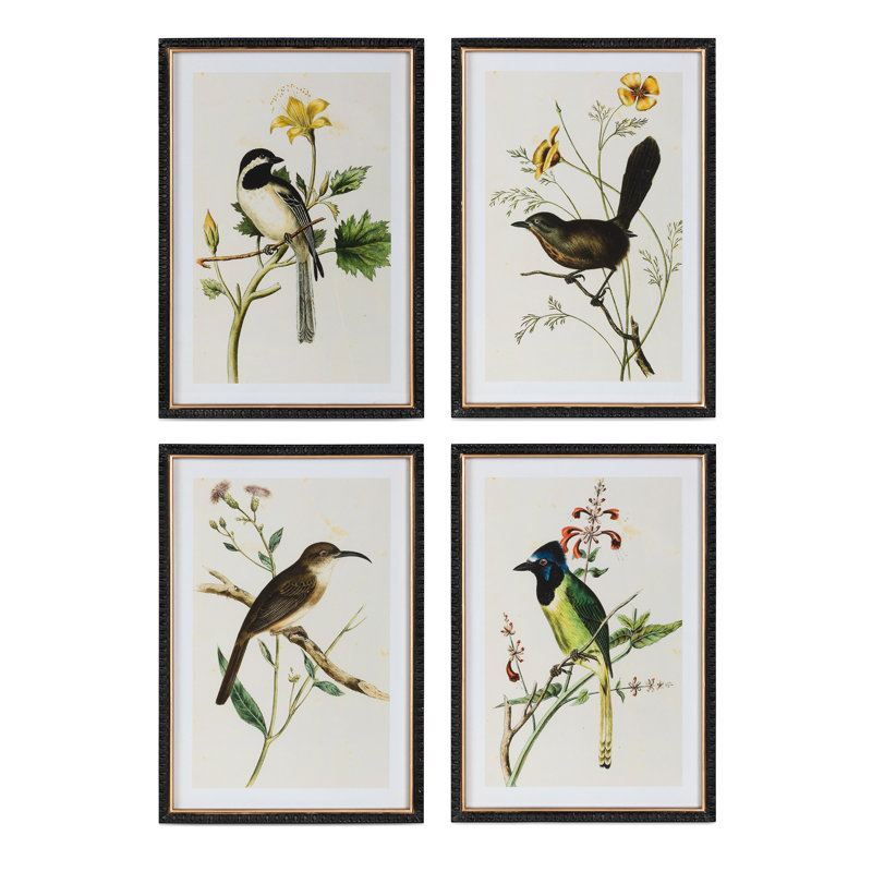 Summer Bird Framed Prints