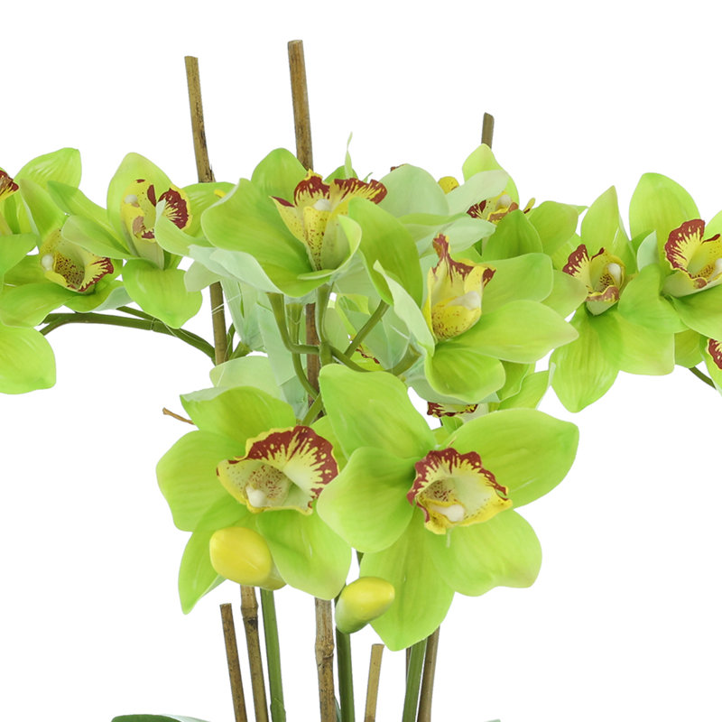 Orchids Arranged in Fiberstone Planter, Green