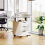 50cm Wide 3 -Drawer Mobile File Cabinet