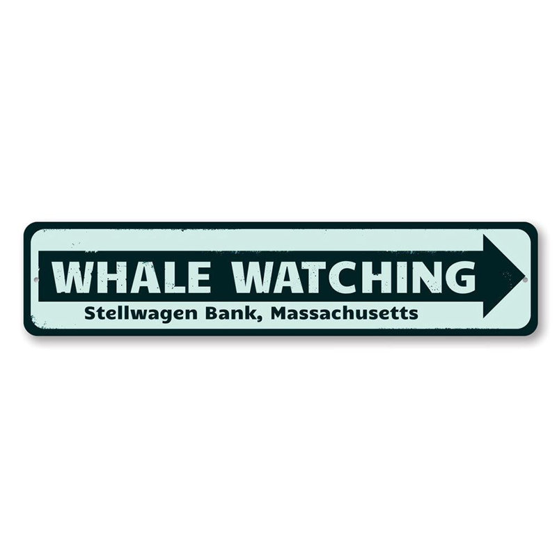 Panneau de baleine en métal, H 6 po x l 24 po x P 0,06 po