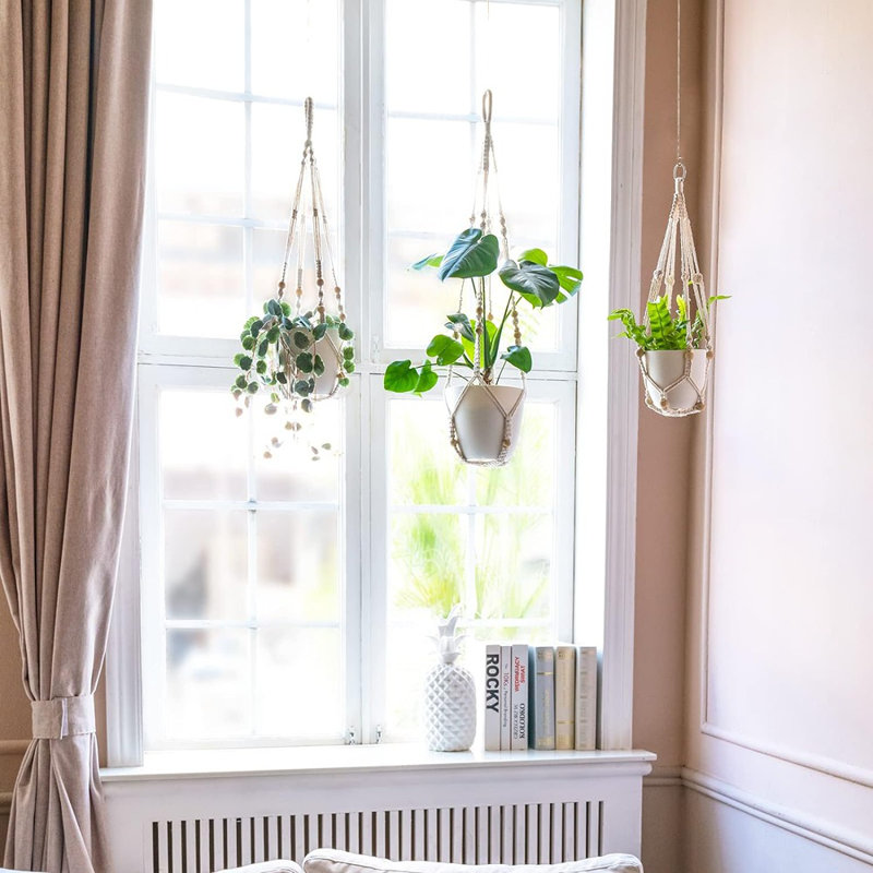 Paquet de 3 cintres pour plantes d'intérieur en macramé de différentes tailles