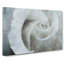 White Rose - Wrapped Canvas Painting-56644889