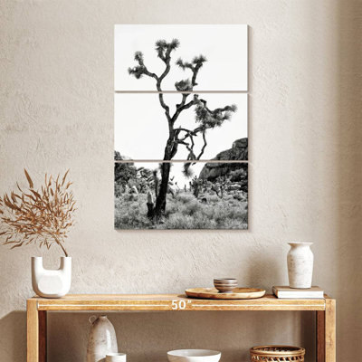 Harnek, Californie, noir, Joshua Tree