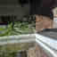 Customer photo 4 of 4
