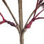 Faux Pod Spray   Set of 6   26"H   Red