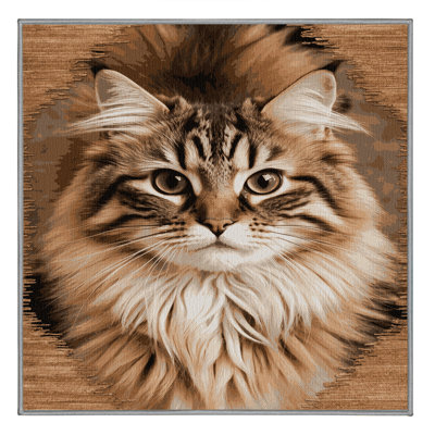  Tapis lavable Somali Cats