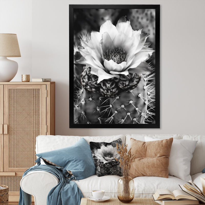 Naythen Gray Desert Cactus I sur toile, Cadre photo noir, H 20 po x l 12 po x P 1 po