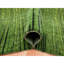 Tapis oriental vert 8 pi 2 po x 10 pi 3 po, vert foncé, en laine nouée à la main douce et vibrante