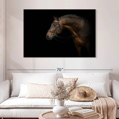 Bridled Dark Brown Horse