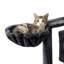 146cm H Cat Tree-1407498700