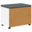 Storage Bench-1191774919-1191774905