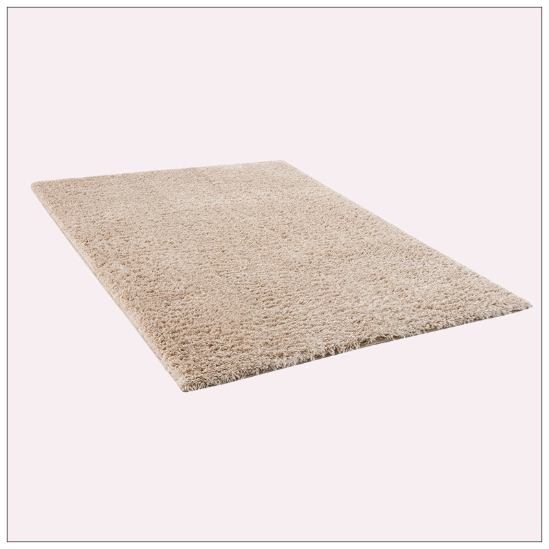 Super Soft Polyester Shag Area Rug, Rectangle 3'11" x 5'11"