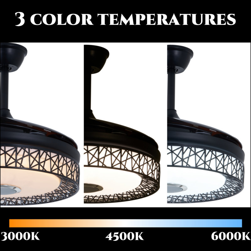 Ventilateur Bluetooth Black Bird's Nest - Télécommande avec gradateur / Bluetooth Link / Play Music