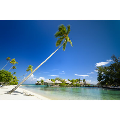Plage de rêve par Mlenny