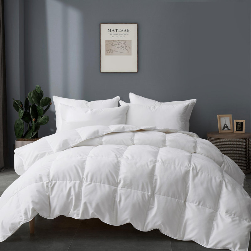 600in³/oz Fill Power All Season Goose Down Comforter, Queen