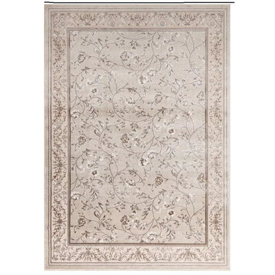 Oriental Area Rug