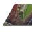 Indoor Rug-843934945
