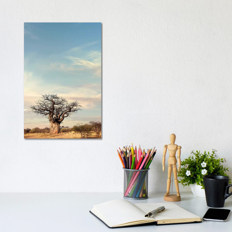 Naye Naye Baobab IV by Klaus Tiedge - Wrapped Canvas Print, 20.32 cm H x 30.48 cm W