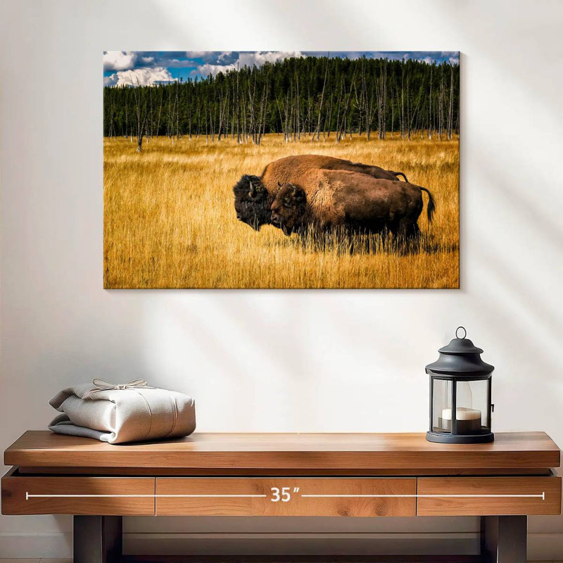 Bison de Brampt en été, H 16 po x l 24 po