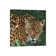 Jaguar Big Cat II by David Stribbling - Gallery-Wrapped Canvas Giclée on Canvas