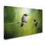 «Wake Up Call Hummingbirds» de Vidur, impression sur toile tendue-22072214