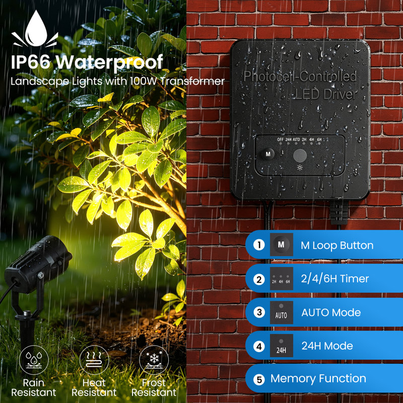 All-in-One Low Voltage Landscape Lighting Kit with Timer Transformer, 6W LED Spotlights, 2700K, IP66 Waterproof, 12-24V Outdoor Lighting