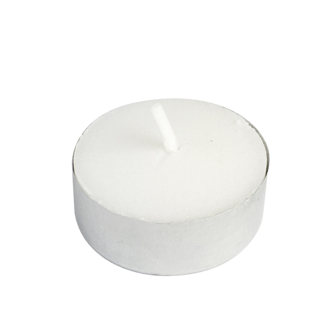 Unscented Tealight Candle (Set of 100) Charlton Home®