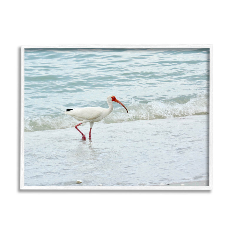 «Bird Stepping Sea Waves Splash», estampe numérique par Jairo Rodriguez, H 24 po x l 30 po x P 1,5 po