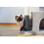 Tour pour chat d'intérieur avec arbre à chat avec chat interactif-364684862