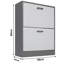 Blisswood 2 Drawer Shoe Storage Cabinet-855447457