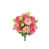 Rose / kiwi est en rupture de stock