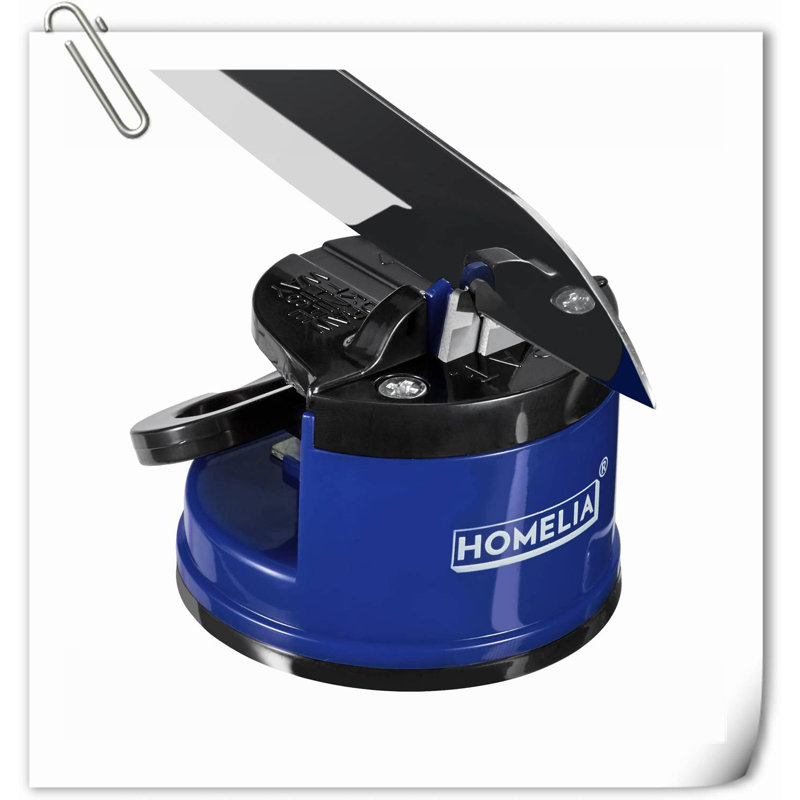 GLOBAL GIRLS LLC Accent, Bleu