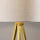 Cas 61.5'' Smart Enabled Floor Lamp