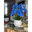 Phalaenopsis Orchid Floral Arrangement in Pot-1766237180
