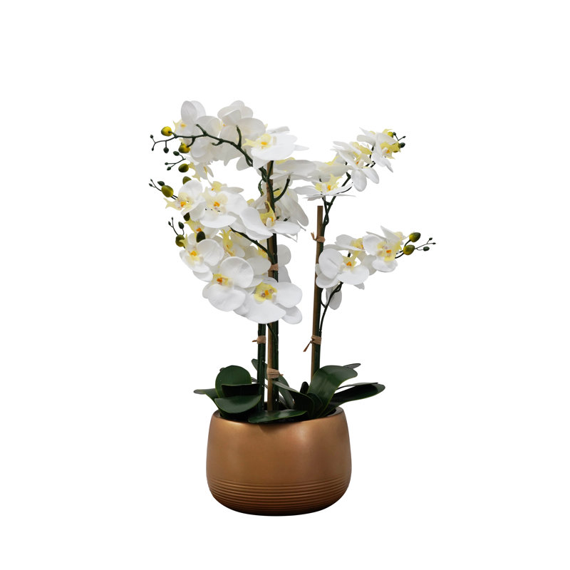 Vaporisateur d'orchidées dans un vase, Or