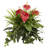 Mixed Anthurium Artificial Plant Set