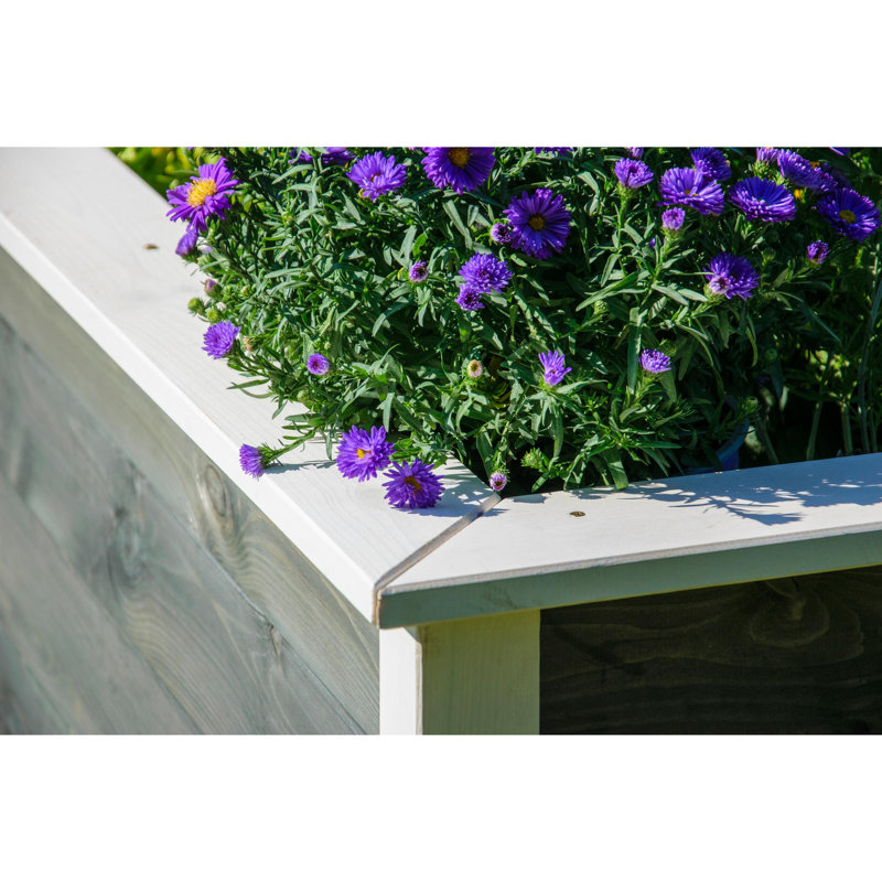 Aalanah Wood Raised Garden Bed