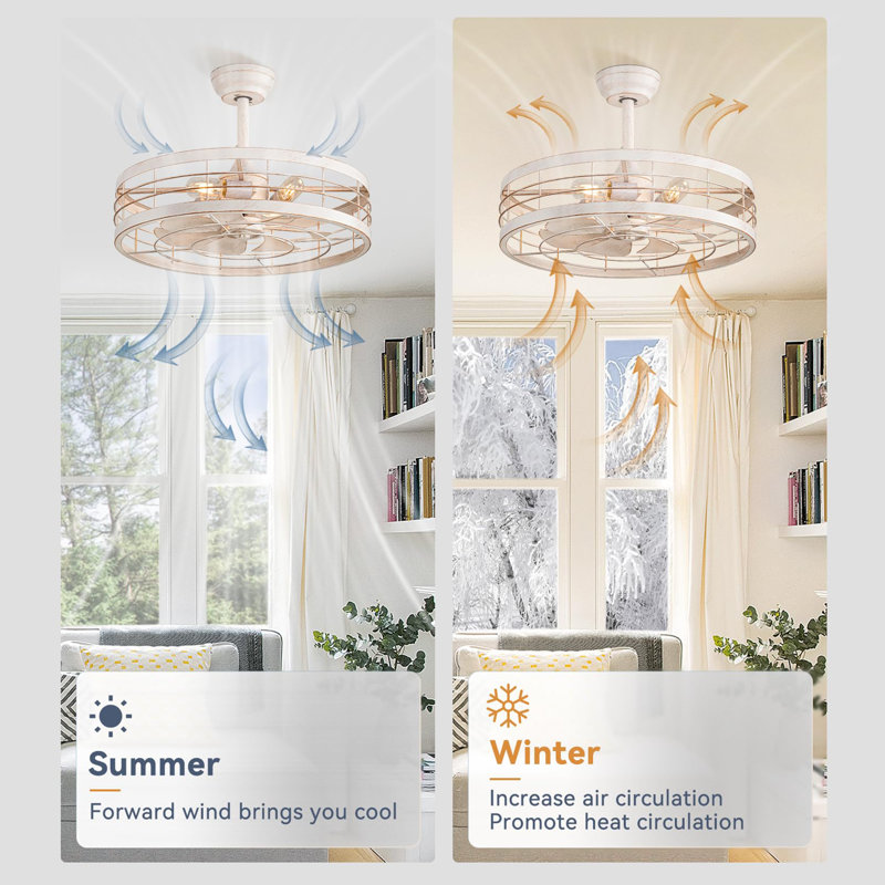 Ventilateurs de plafond 22 pouces avec lumières et télécommande Fandelier, Blanc, 22 po de largeur