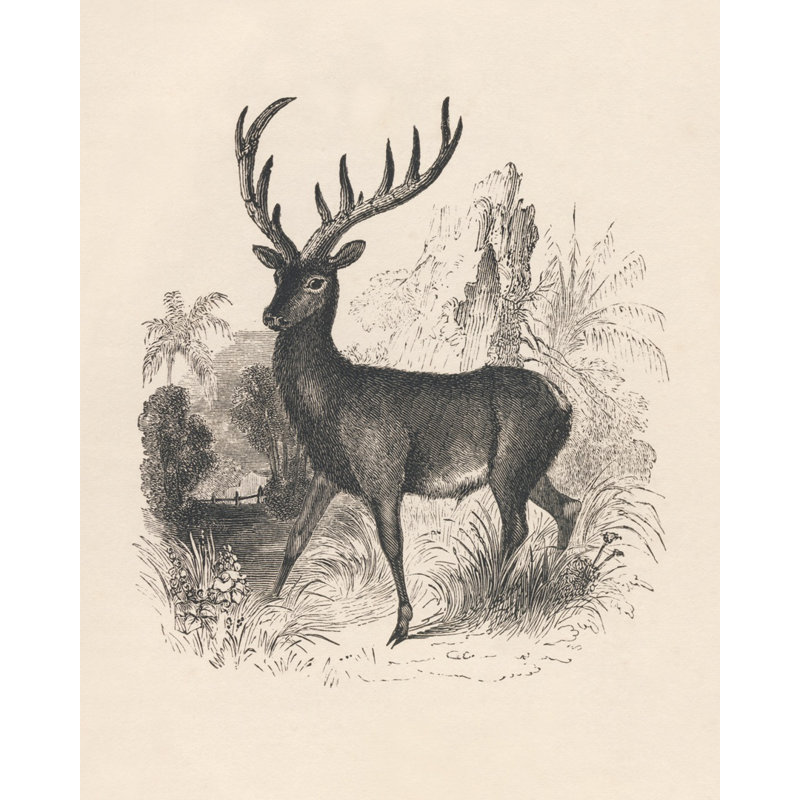 Antique Antler II - impression sur toile tendue, H 25 po x l 20 po, Extérieur