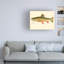 Truite mâle sur toile-410997216
