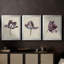 Antique Tulip Study I - Toile tendue avec châssis sur mesure - 3 pièces-1997262811