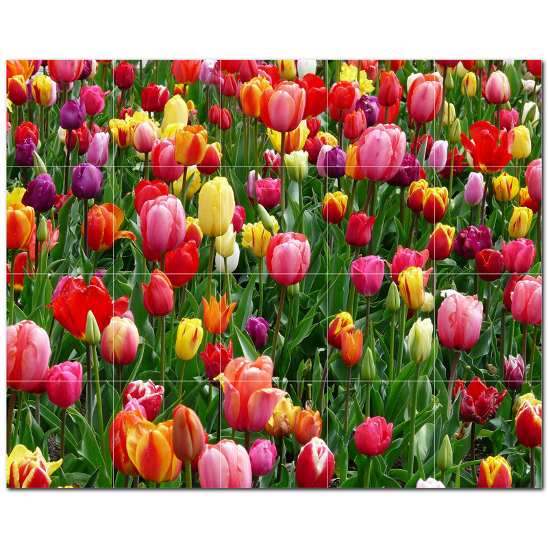 Photo de fleurs 6 po x 6 po