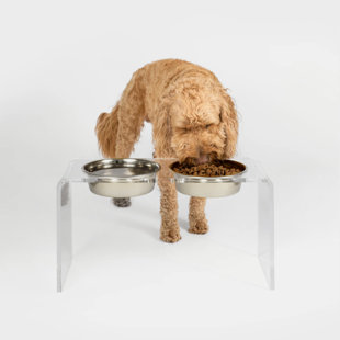 Chic Elevated Slow Feeder Dog Bowl Stand Set, Large Dog. Modern