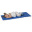 Tapis de repos pliable ECR4Kids Everyday, 4 sections, bleu / gris, paquet de 5-21641978