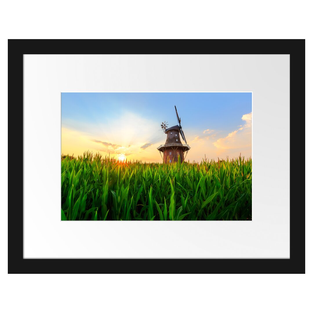 Gerahmtes Poster Schöne Windmühle auf dem Feld