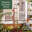 Treillis de jardin en acier à obélisque-189586908-203402620