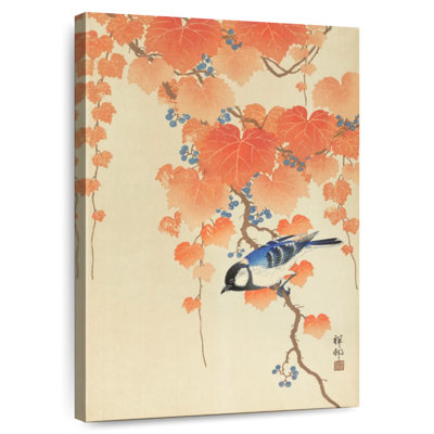 Mésange charbonnière sur une branche de Paulownia