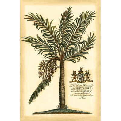 Palme coloniale britannique II
