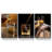 Whiskey Liquor Still Life - 3 Piece Wrapped Canvas Print-1251862269