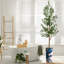 68 plantes-95099208